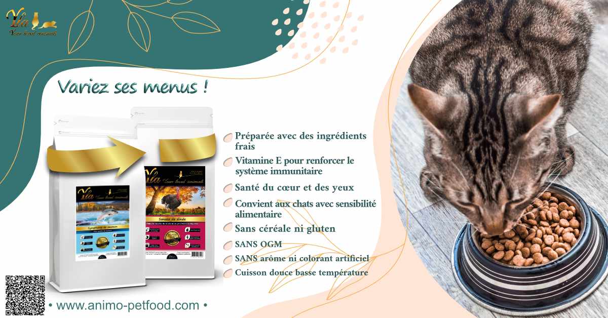 croquettes-sans-cereale-pour-chat-avec-sensibilités-alimentaires